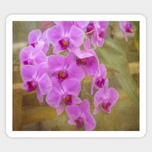 Flowing Orchids - Purple Flowers Sticker